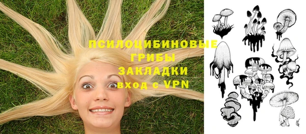 тгк Россошь